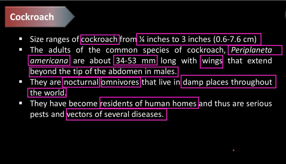 Cockroach Structure - Anatomy, Muscular and Nervous Tissue_6.1