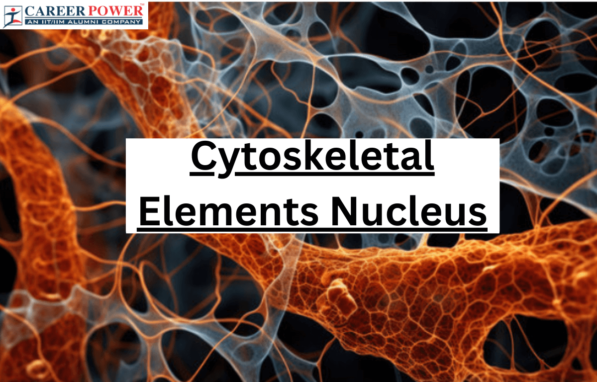 cytoskeleton