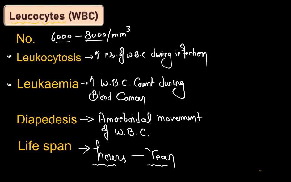 Blood - Definition, its Components, and Functions_14.1