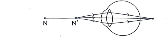 CBSE Class 10 Science Answer Key 2024, Question Paper Analysis for All Sets 1,2,3_6.1