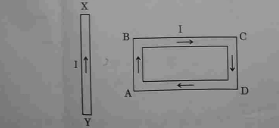 CBSE Class 10 Science Answer Key 2024, Question Paper Analysis for All Sets 1,2,3_8.1