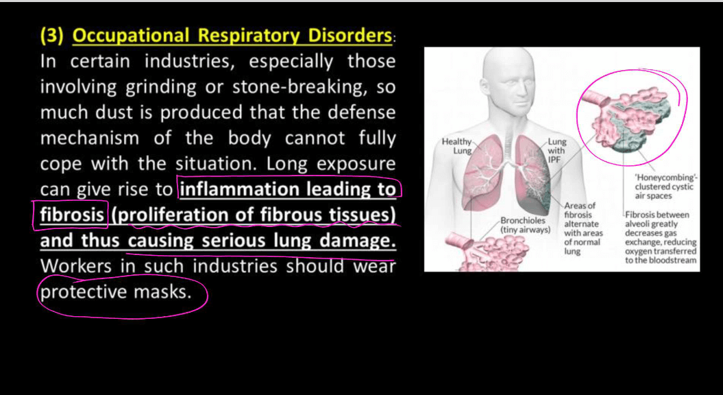 Transport of Gases in Human Body during Respiration_13.1