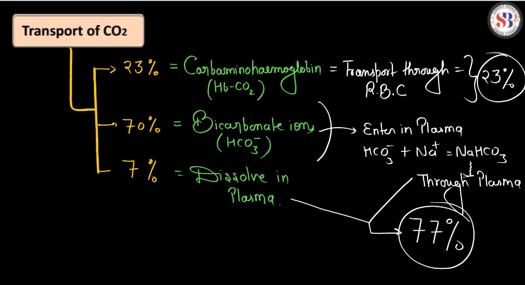 Transport of Gases in Human Body during Respiration_8.1