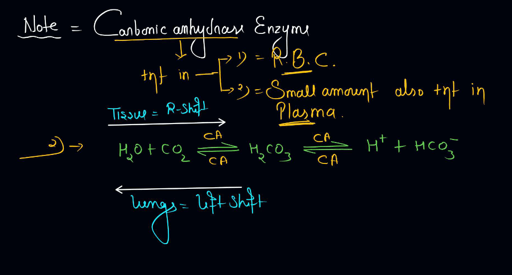 Transport of Gases in Human Body during Respiration_11.1