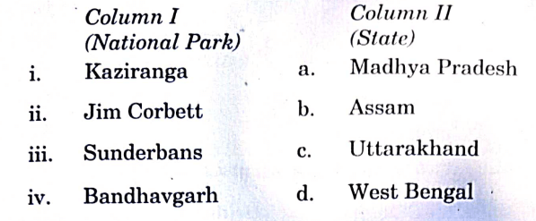 CBSE Class 10 Social Science Answer Key 2024, Question Paper Set 1,2,3,4_4.1