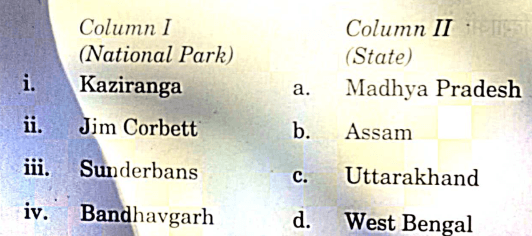 CBSE Class 10 Social Science Answer Key 2024, Question Paper Set 1,2,3,4_7.1