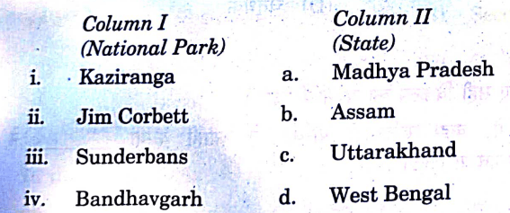 CBSE Class 10 Social Science Answer Key 2024, Question Paper Set 1,2,3,4_11.1