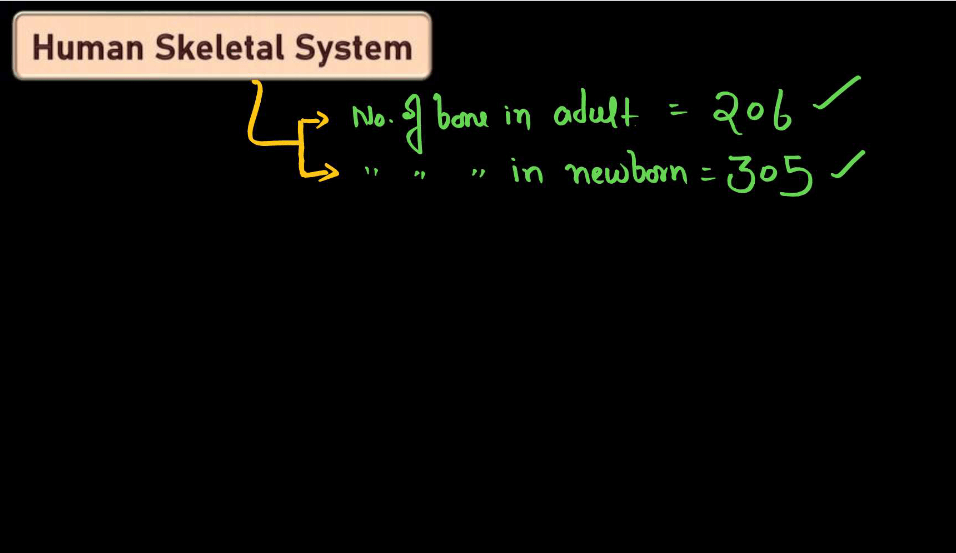 Human Skeletal System - Structure, Parts, Functions, Anatomy_3.1