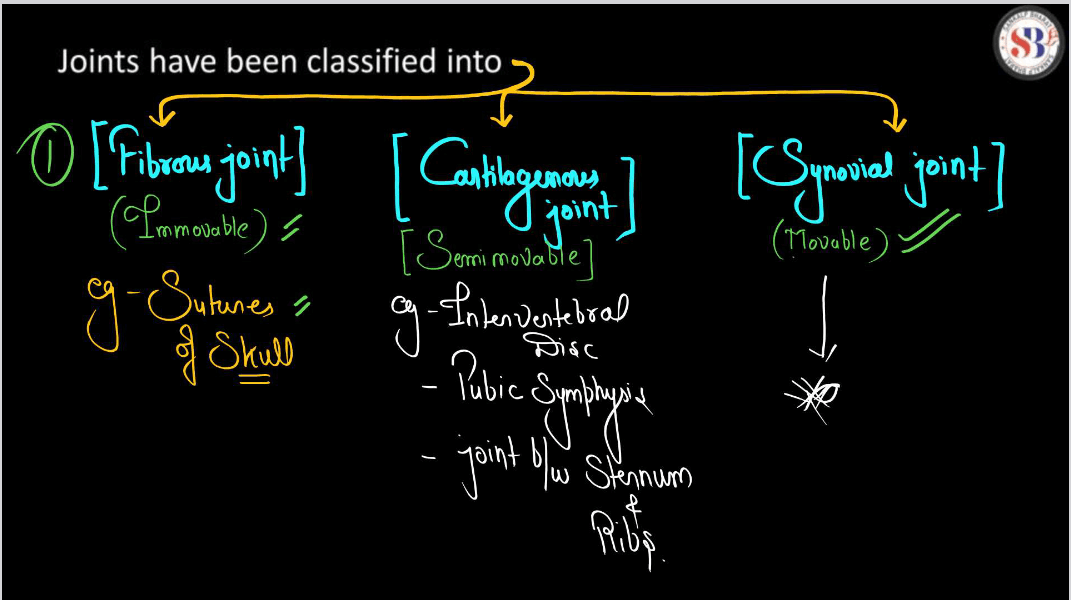 Human Skeletal System - Structure, Parts, Functions, Anatomy_14.1