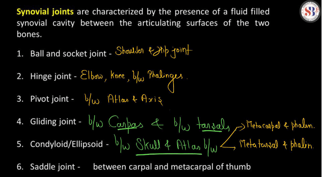 Human Skeletal System - Structure, Parts, Functions, Anatomy_16.1