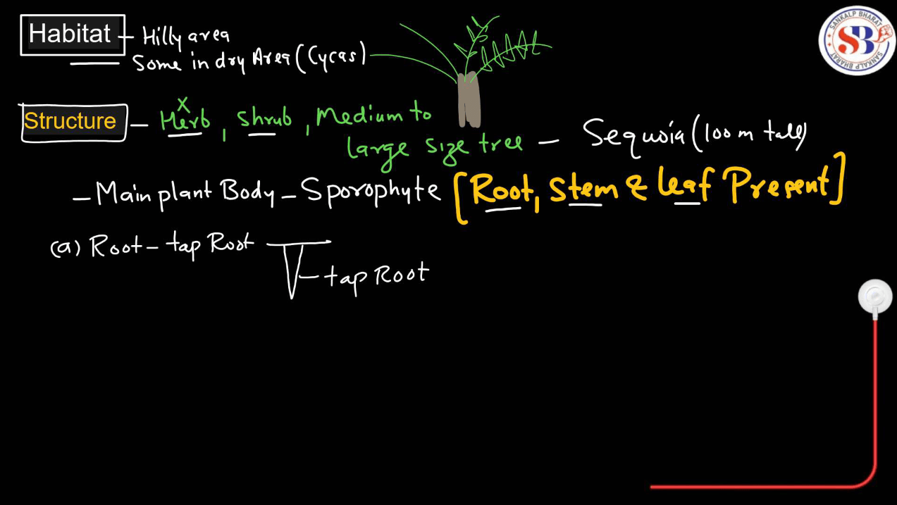 Gymnosperms vs Angiosperms - Difference and Comparison_5.1