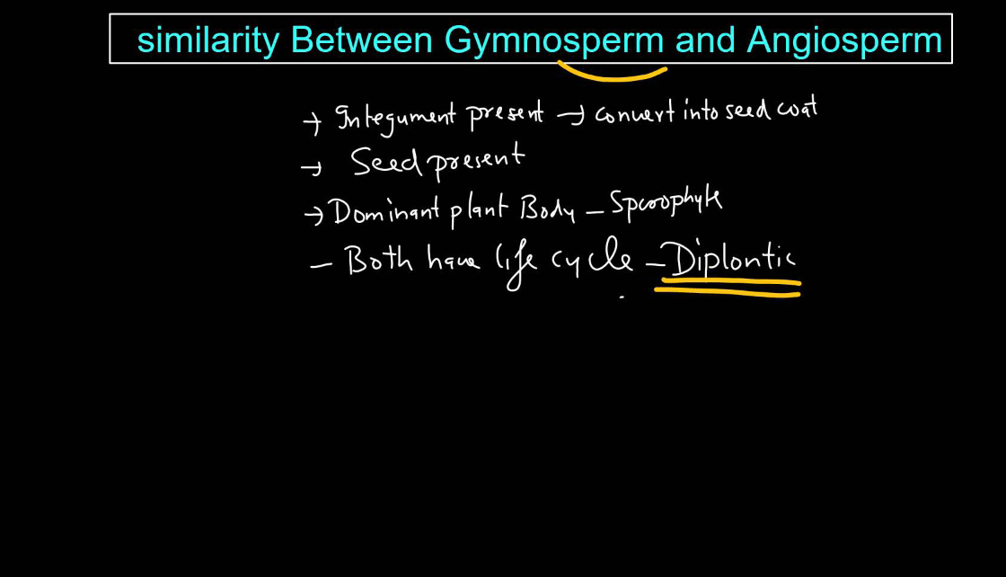 Gymnosperms vs Angiosperms - Difference and Comparison_10.1