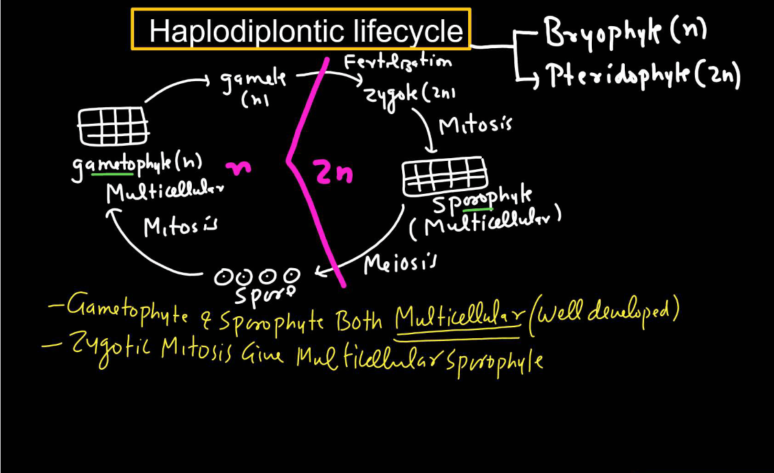 Plant Life Cycle - Type, Process, Part and Phases in Cycle_11.1