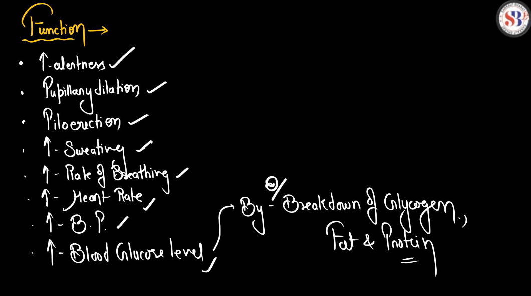 Human Endocrine System, List of Endocrine Glands_19.1