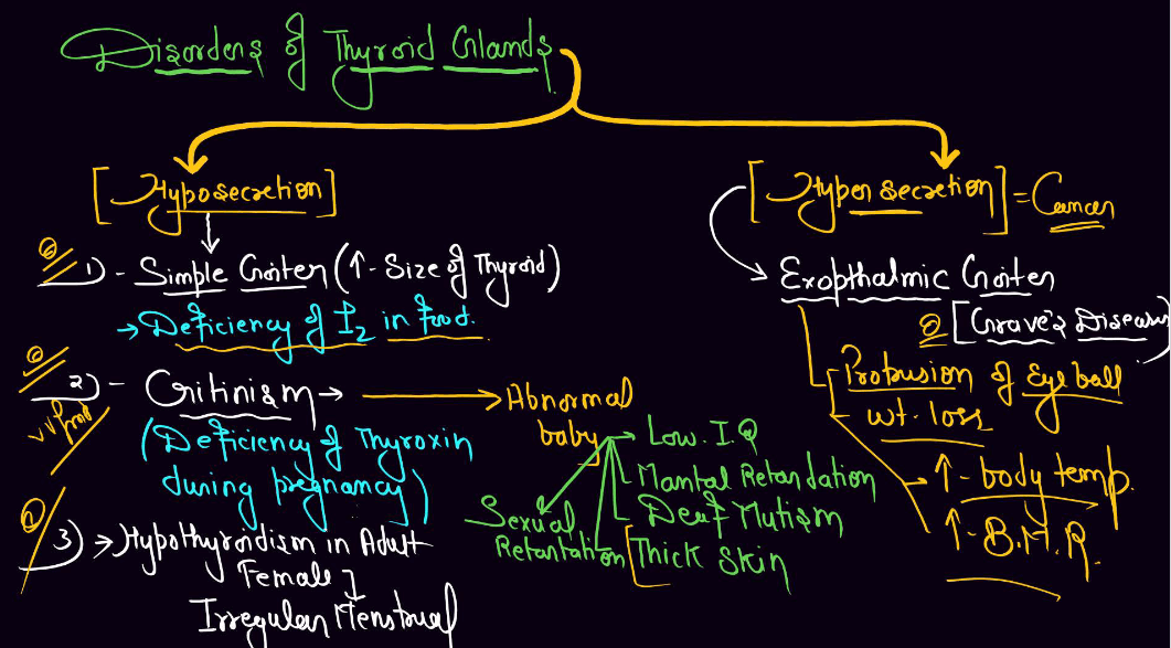 Human Endocrine System, List of Endocrine Glands_11.1