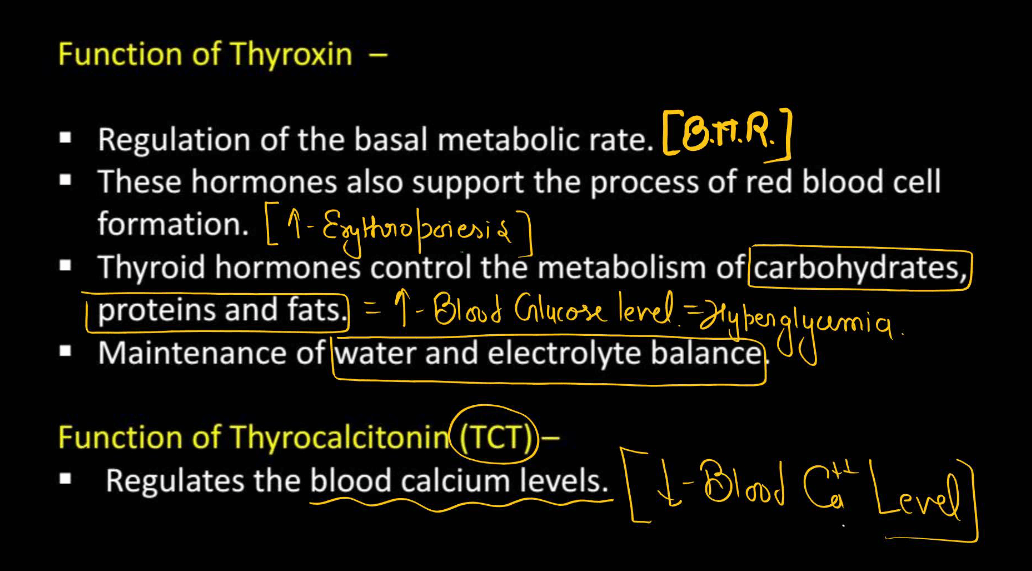 Human Endocrine System, List of Endocrine Glands_10.1