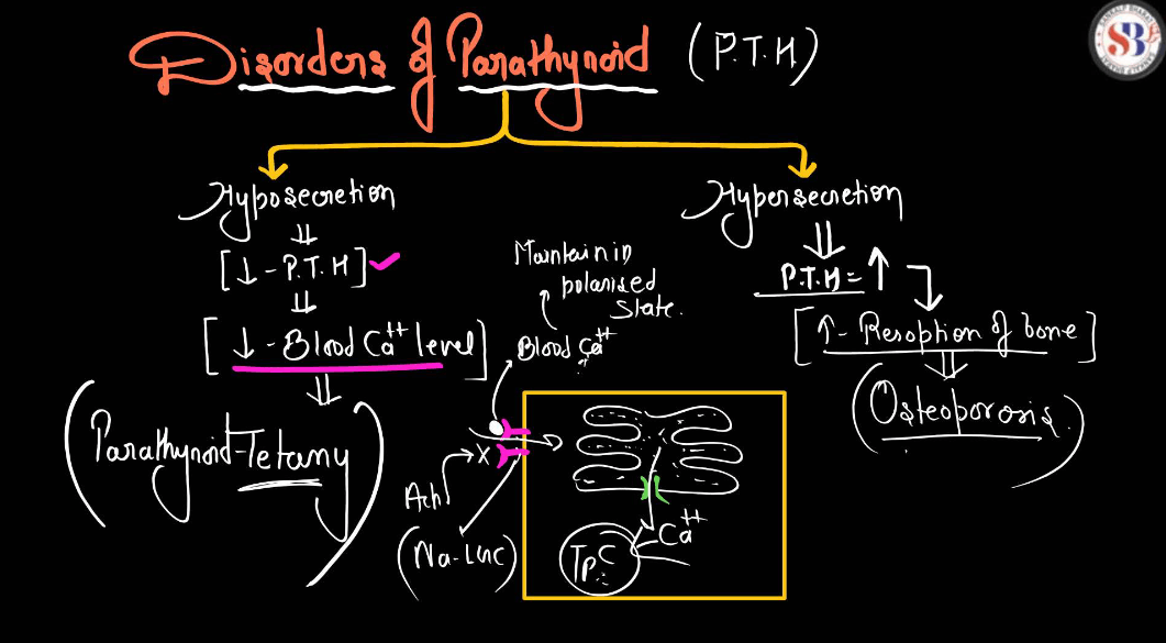 Human Endocrine System, List of Endocrine Glands_7.1