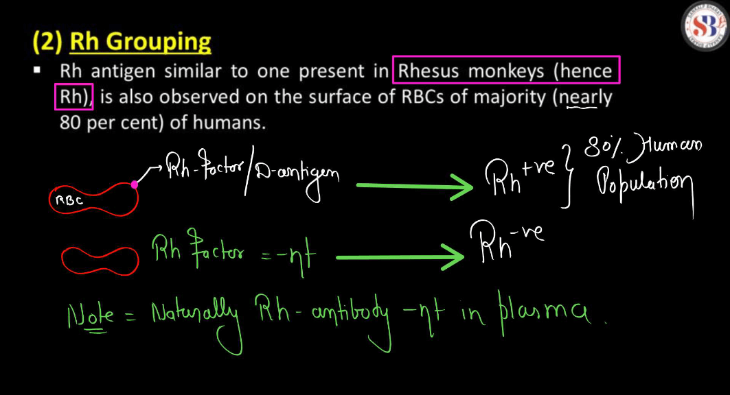 Blood Group - ABO Grouping and Rh Grouping_4.1