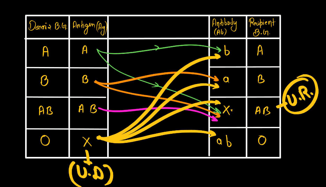 Blood Group - ABO Grouping and Rh Grouping_9.1