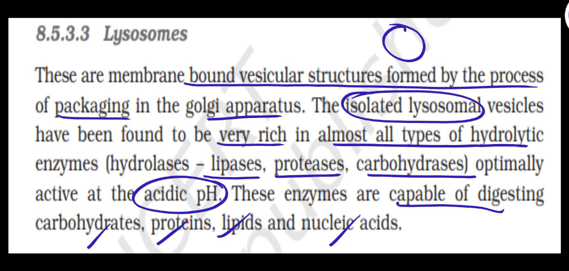 Endomembrane System - All the Organelle Components and Functions_21.1