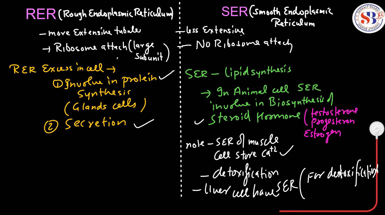 Endomembrane System - All the Organelle Components and Functions_9.1
