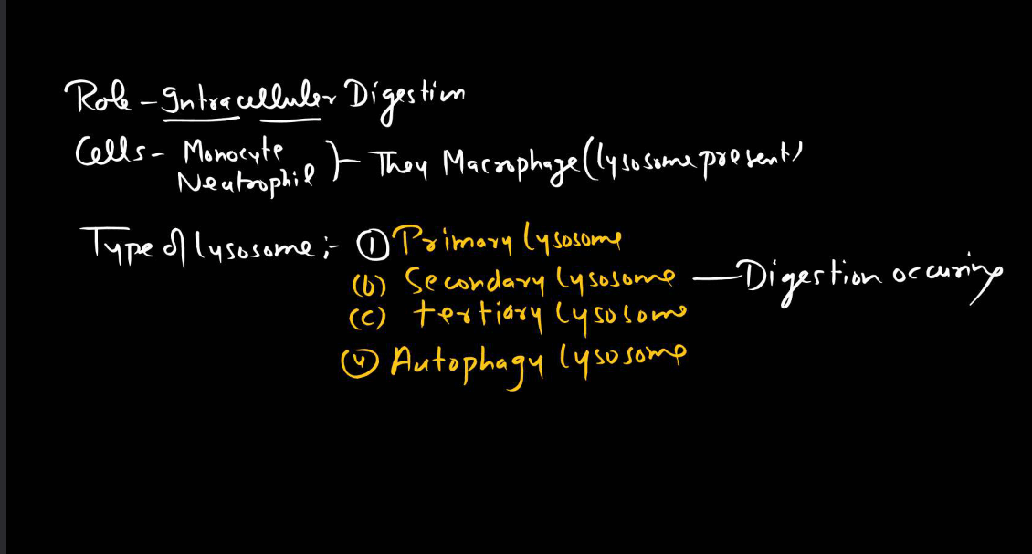 Endomembrane System - All the Organelle Components and Functions_20.1