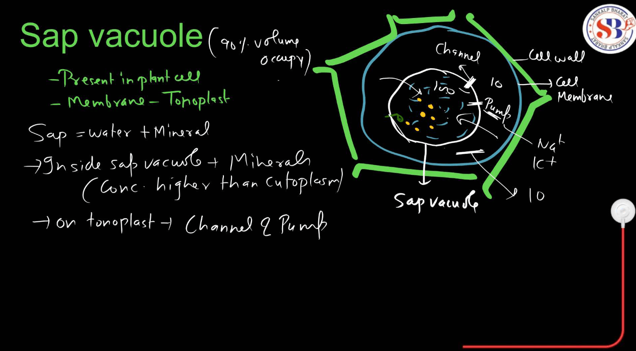 Endomembrane System - All the Organelle Components and Functions_16.1