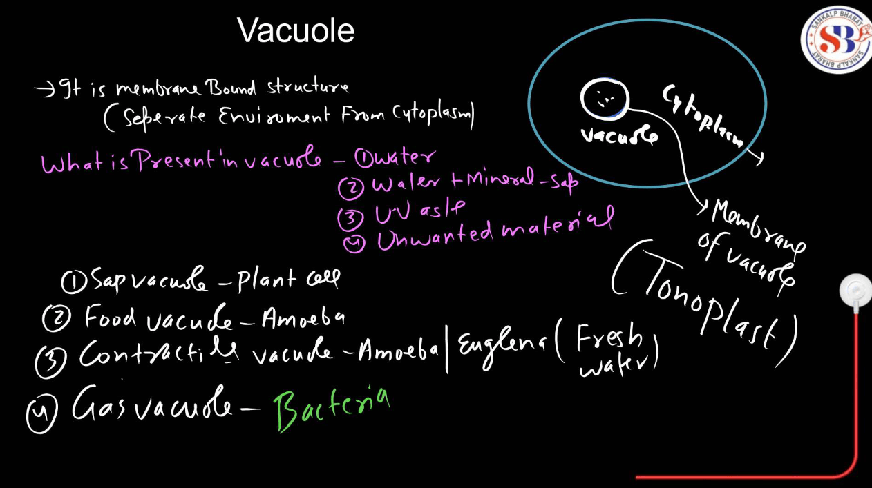 Endomembrane System - All the Organelle Components and Functions_15.1