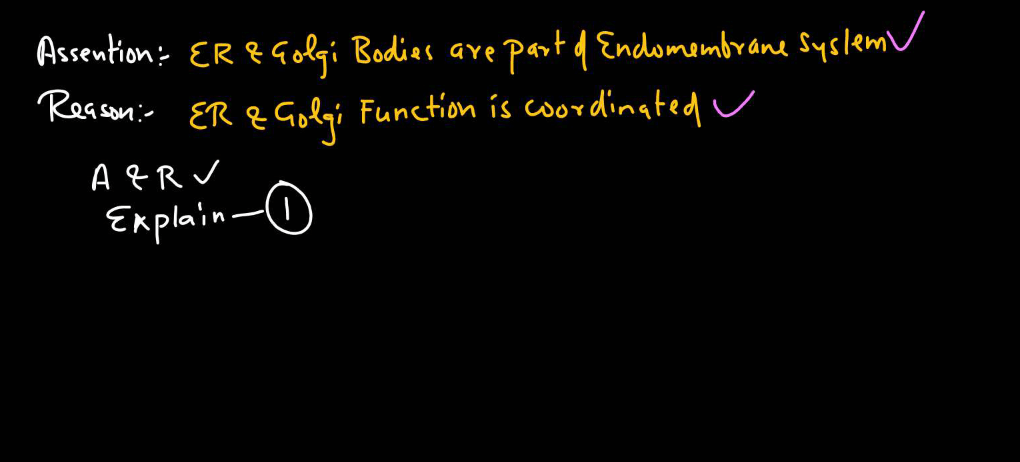 Endomembrane System - All the Organelle Components and Functions_4.1