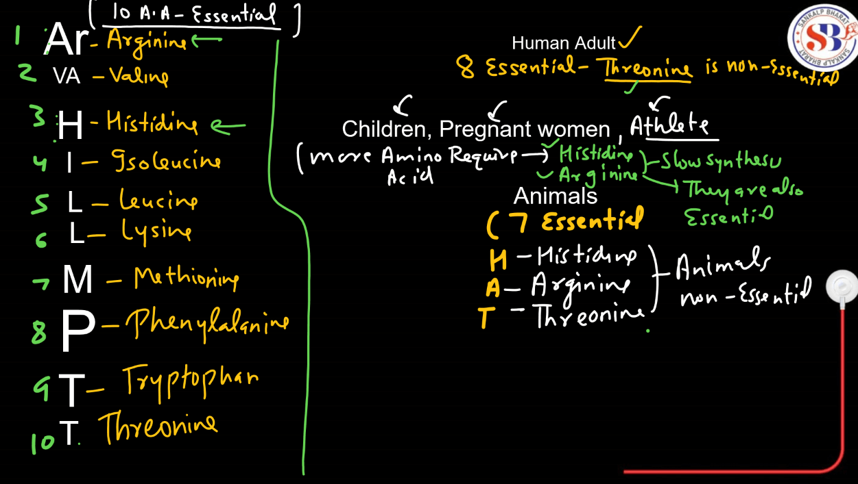 Amino Acids - List, Properties, Functions, Types_12.1