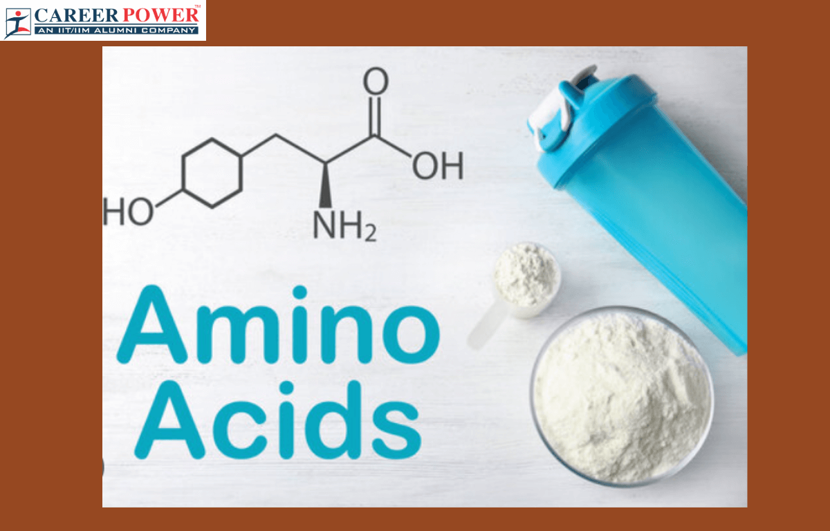 amino acids