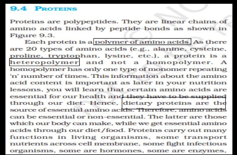 Protein: Definition, Structure, Types, and Functions_5.1