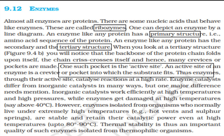 Enzymes: Definition, Functions, and their Structure_5.1