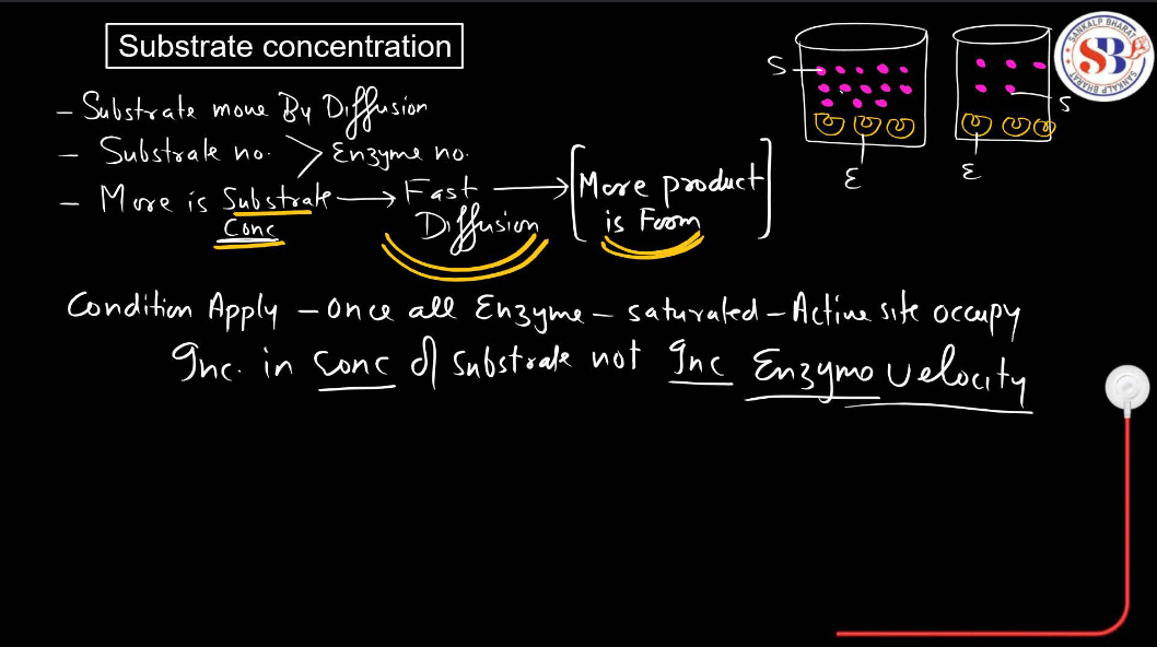 Enzymes: Definition, Functions, and their Structure_13.1