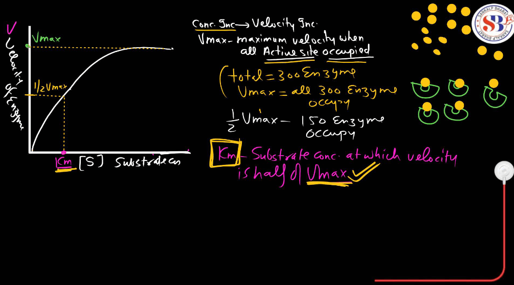 Enzymes: Definition, Functions, and their Structure_14.1