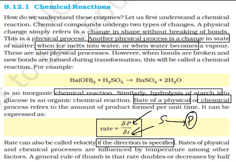 Enzymes: Definition, Functions, and their Structure_6.1