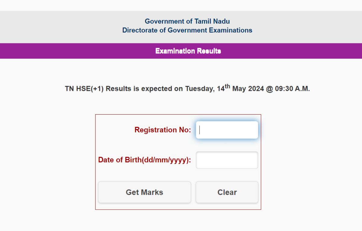 TN 11th Result 2024