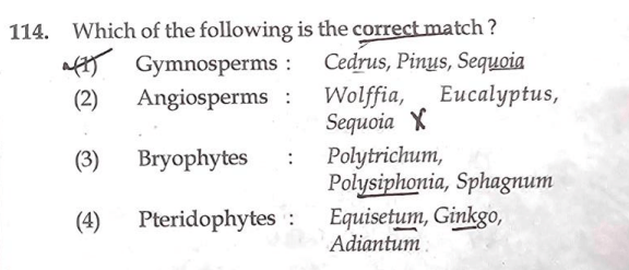 NEET Re Exam Question Paper 2024 Out, Download Exam Answer Key PDF_6.1