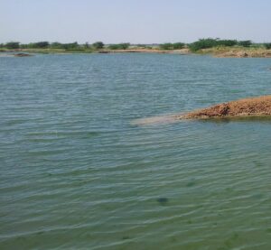 Sambhar Lake