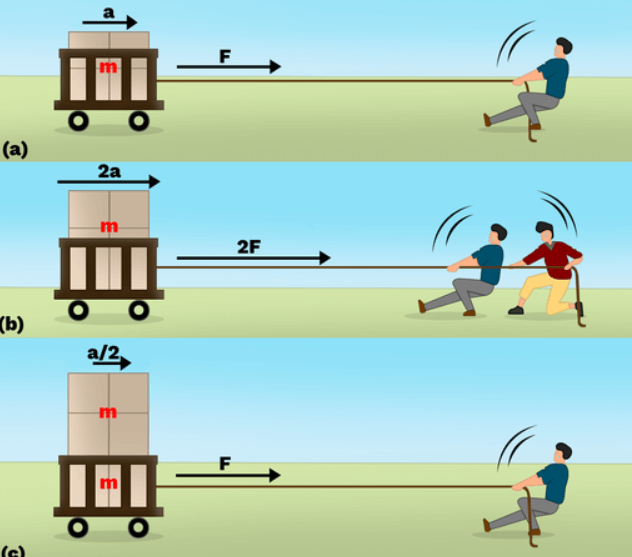 Newton's Second Law of Motion, Applications, Formula, Example_3.1
