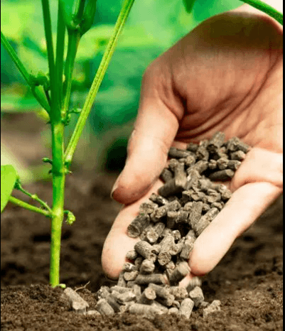 Biofertilizers - Define, Types, Components, Importance, Examples_4.1