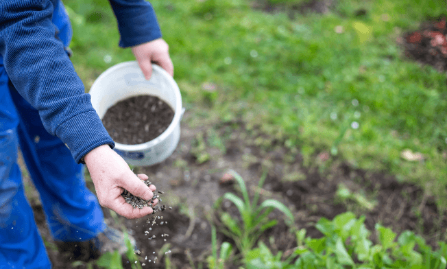 Biofertilizers - Define, Types, Components, Importance, Examples_6.1