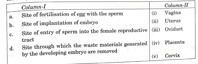 CBSE Class 10 Science Question Paper 2025 Out: Download Free PDF Here_4.1