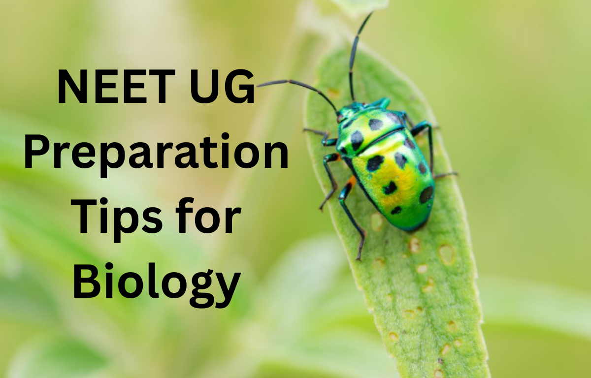 NEET UG Preparation Tips for Biology