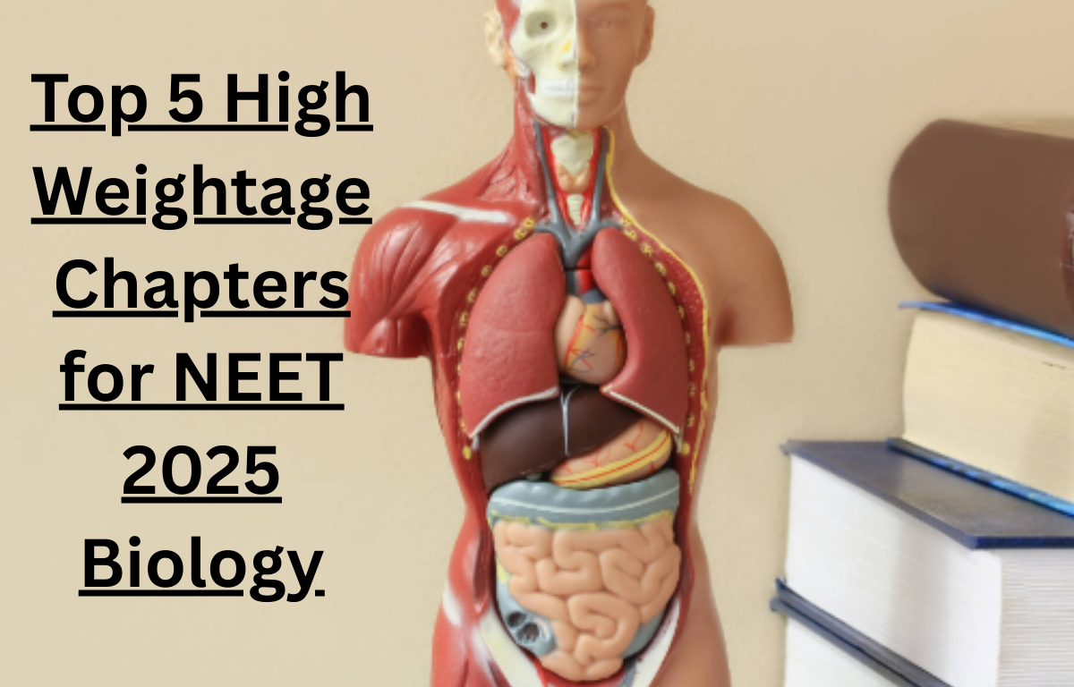 NEET UG 2025: 5 High-Weightage Biology Chapters That Rule the Paper