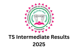 TS Intermediate Results 2025