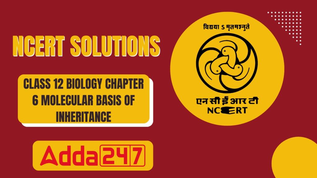 NCERT Solutions for Class 12 Biology Chapter 6 Molecular Basis of Inheritance