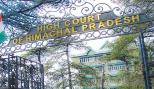 hp high court