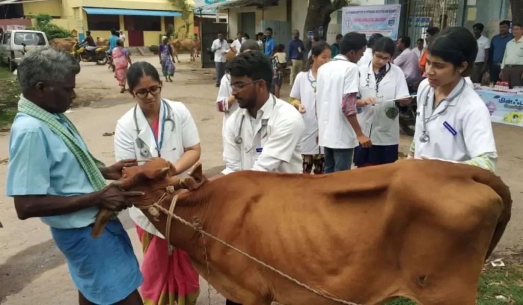 UPSSSC Livestock Extension Officer Recruitment 2026
