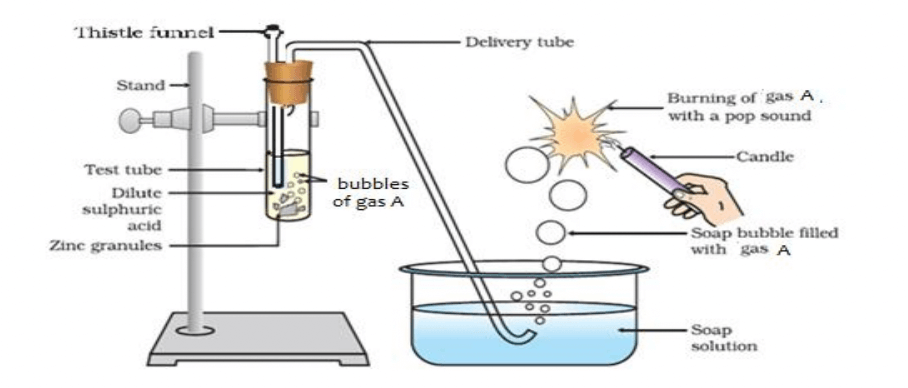 Science Question 21